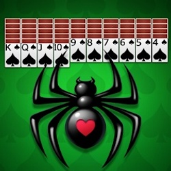 Spider Solitaire - Card Games