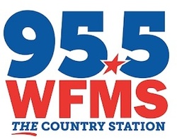 WFMS