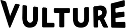 vulture.com