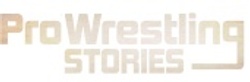 prowrestlingstories.com
