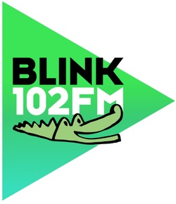 blink 102