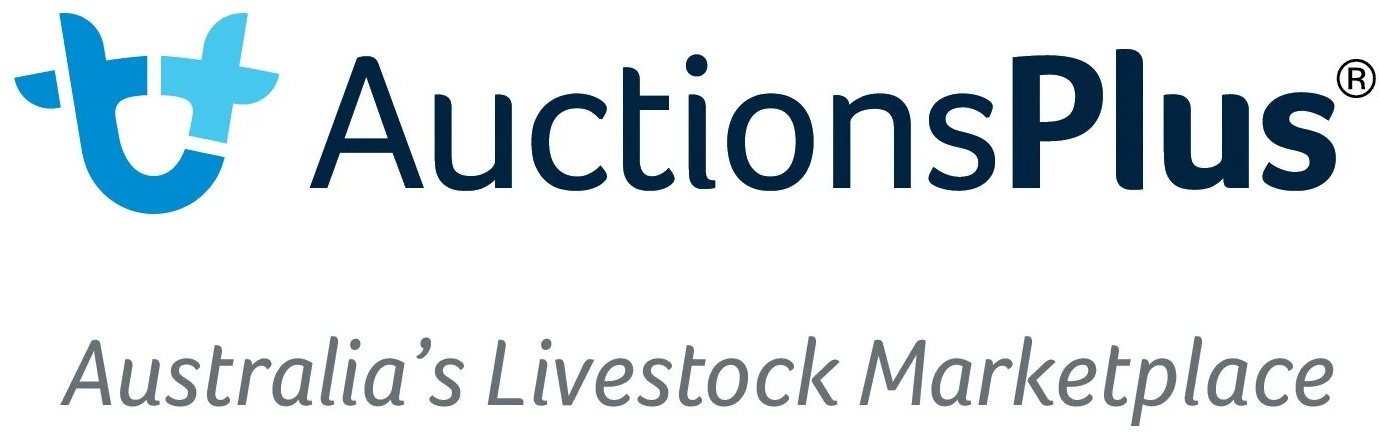 auctionsplus.com.au